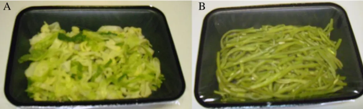 Figura 5 - Amostras de couve repolho (A) e feijão verde (B) após embalagem. 