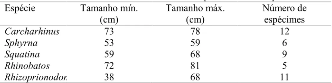 Tabela 2. Biometria realizada no mercado de peixe do litoral paranaense.
