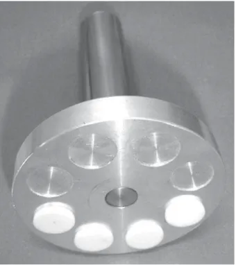 Figure 1- Specimens mounted in the specimen holder