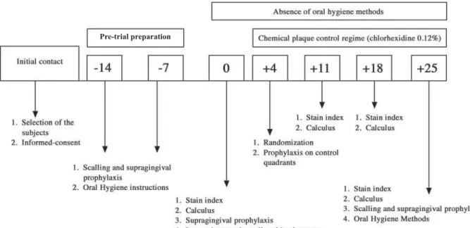 Figure 2- Experimental design