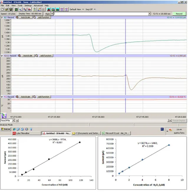 Figura 6- Medição direta de gases através de macroeletrodo sensível. Na parte superior Print screen do 