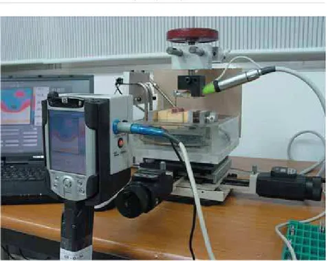 Figure 2- Infrared thermography measured the temperature changes