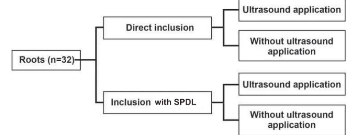 Figure 1- Experimental design