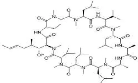 Figura 2. Estrutura química da Ciclosporina. Fonte: Zanini et al., 2007. 