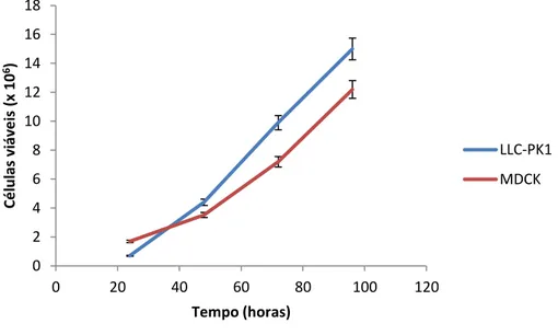 Figura 10.  Determinação do “Double time” celular”. 1,0 x 10 5  células foram incubadas 