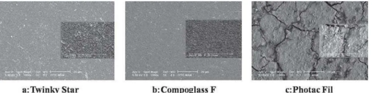 Figure 3- SEM micrographs of the specimens after distilled water application