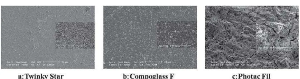 Figure 5- SEM micrographs of the specimens after APF gel application