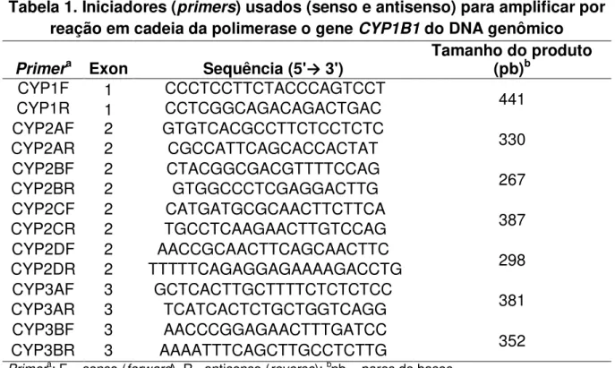 Tabela 1. Iniciadores (primers) usados (senso e antisenso) para amplificar por  reação em cadeia da polimerase o gene CYP1B1 do DNA genômico  Primer a   Exon   Sequência (5' → 3') 