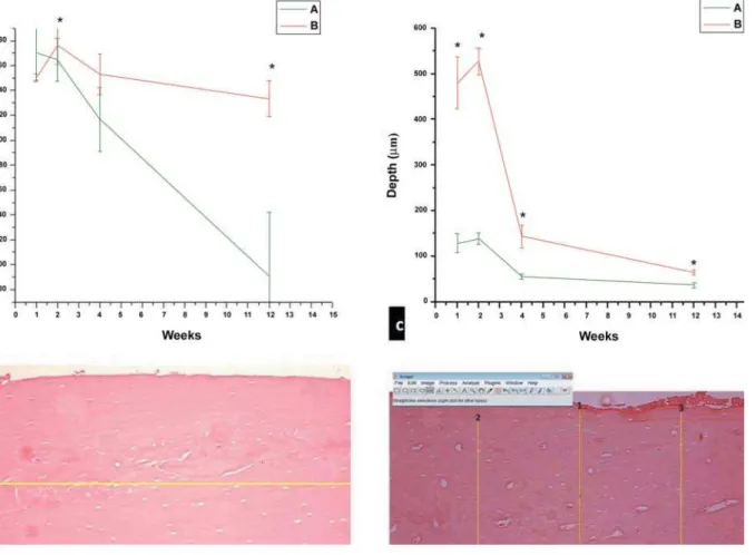 Figure 1- Comparison of the linear extent (a, b) and depth (c, d) of bone necrosis between the 1-min (A) and 2-min (B)  cryosurgery protocols according to experimental week (mean±SD)