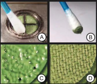 Figure 5-  A and B show the effectiveness of the method  used to detect residues of polymerized material on the  surface of the piece of fabric and the impression; the  color difference between the cotton tip and the residues of  nonpolymerized material cl