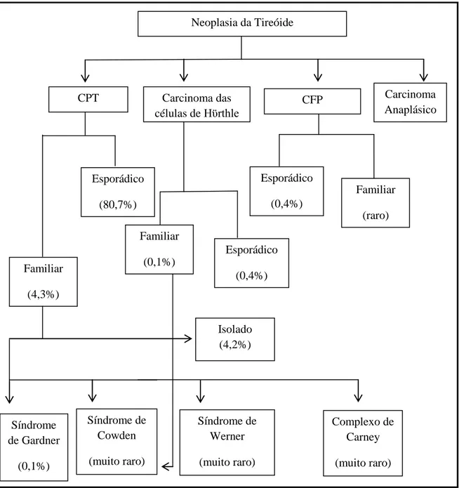 Figura  1:  Frequência  com  que  ocorre  Carcinoma  Diferenciado  Não  Medular  da  Tireóide  no  contexto de doença hereditária versus esporádica (adaptado de Alsanea et al  (13) )