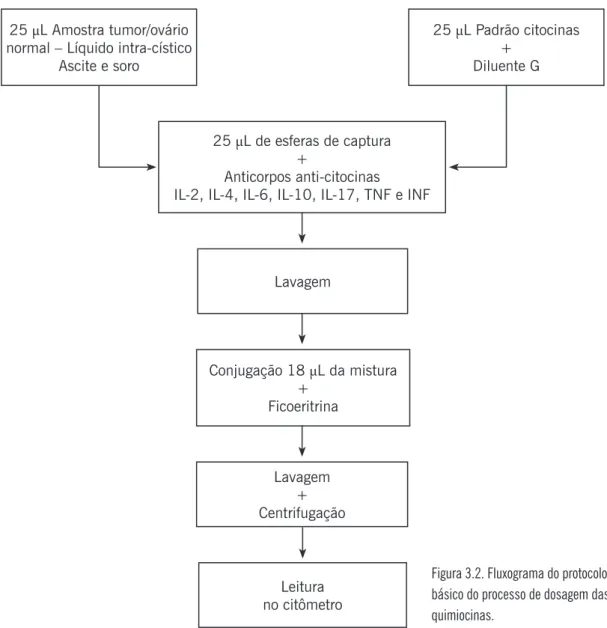 Figura 3.2. Fluxograma do protocolo  básico do processo de dosagem das  quimiocinas.