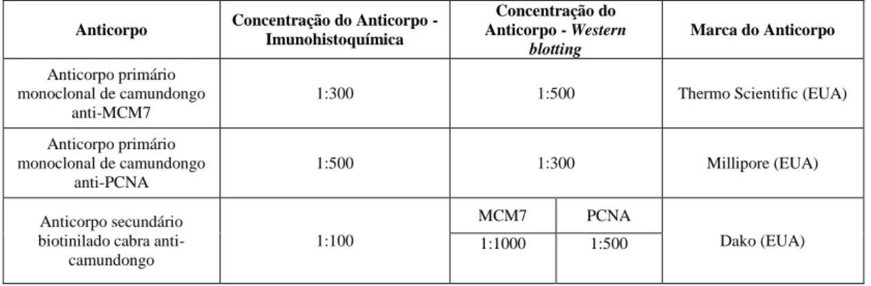 Tabela  1:  Síntese  dos  anticorpos  utilizados  para  realização  de  imunohistoquímica  e 