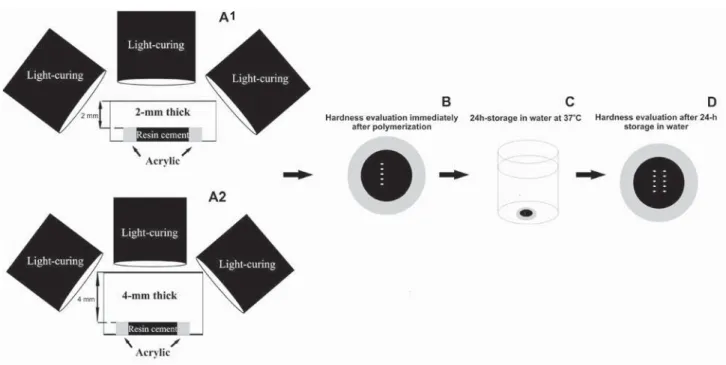 Figure 2- Illustrative diagram of KHN analysis immediately (B) and 24 h after polymerization (D) of resin cements exposed  to light-activation performed through either 2-mm (A1) or 4-mm (A2) thick simulated ceramic restoration