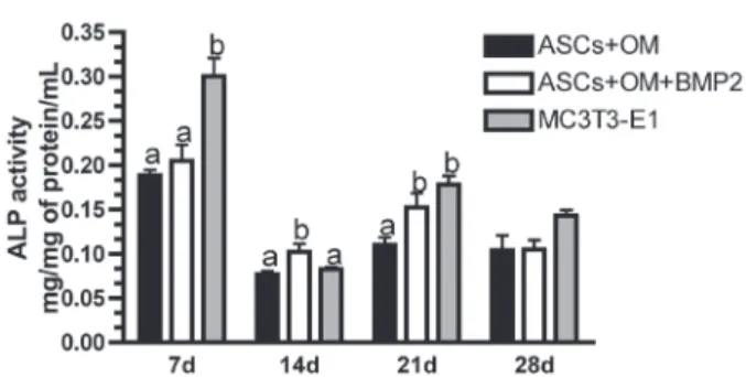 Figure 2- Extracellular matrix mineralization. A) Von Kossa staining. Adipose-derived stem cells (ASCs) with osteogenic  medium (OM)