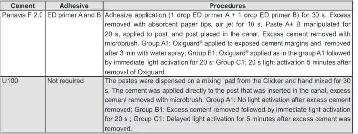 Figure 3- Cementation procedures   