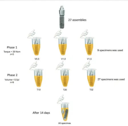 Figure 2- Inoculation device adapted from a dental  surveyor. A: vertical rod with pipette holder; B: screw  to lock vertical rod; C: cross arm; D: pipette holder; E: 