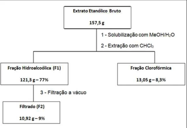 Figura 7 - Esquema geral da partição realizada com o extrato etanólico bruto das folhas de 