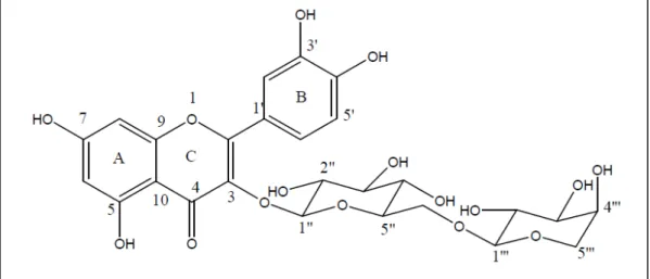 Figura 8 - Estrutura química da quercetina-3-O- β-D-glucopiranosil (1 → 6) -O-α-L-