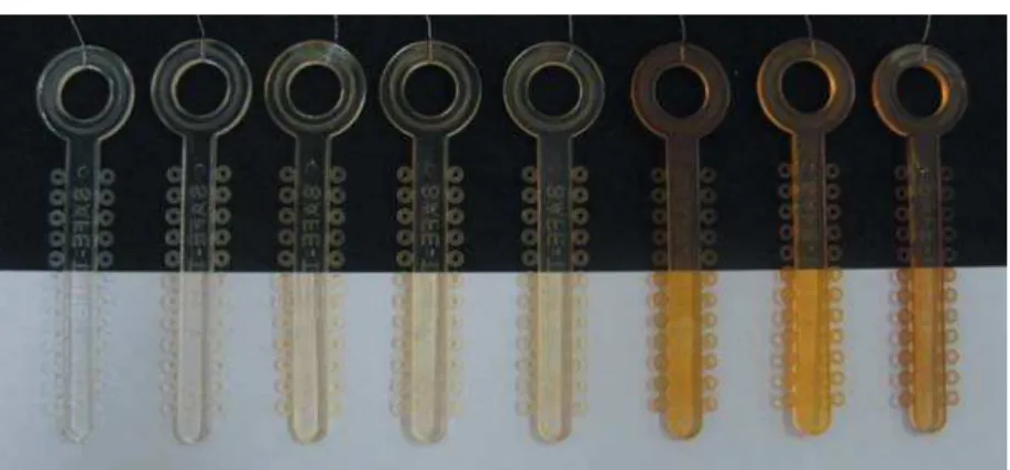 Figure 4- Color alteration after staining – from left to right, distilled water, Coca-Cola ® , tomato sauce, açaí, green tea, black  tea, wine and coffee group