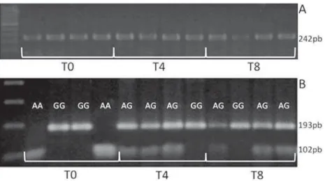 Figure 3-    !"#$ % plot of the same DNA in different time incubation and B) mean Ct values in different time incubation