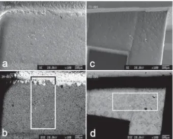 Figure 6- Detailed secondary electron (SE) and back  scattered electron in topographic mode (BSE-TOPO)  images of characteristic features before insertion  (a-b) and after recovery and cleaning (c-d) of a Group 2  bracket