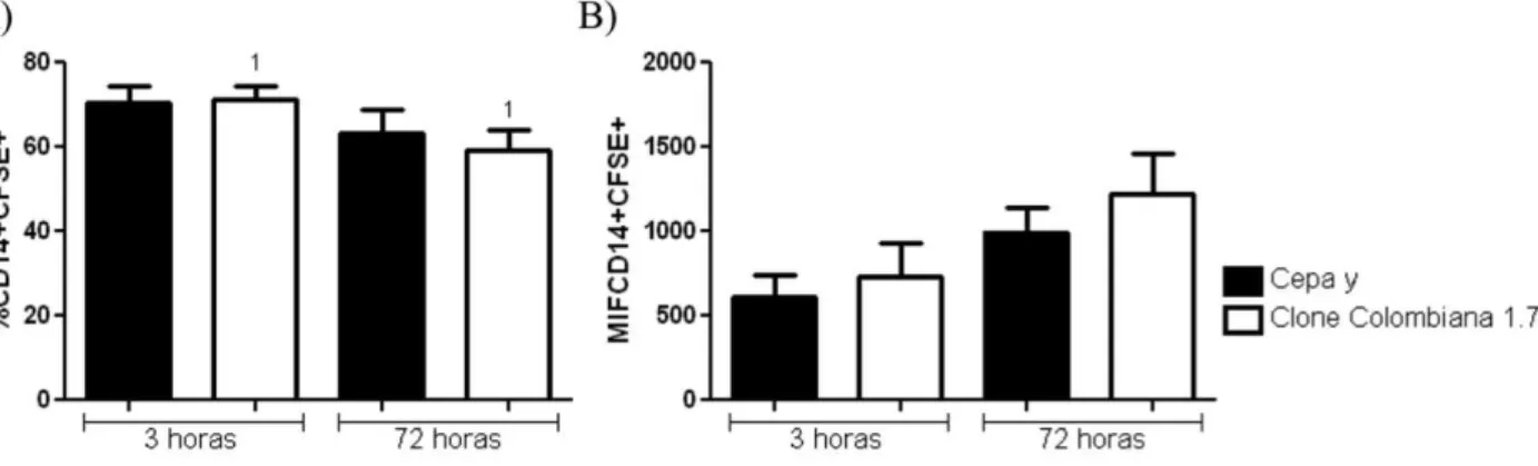Figura 2: Avaliação da frequência e intensidade média de fluorescência de células CD14+CFSE+  infectadas com os diferentes isolados e em diferentes tempos de cultura
