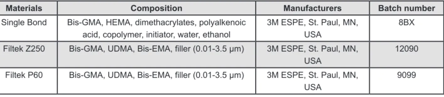 Figure 1- Description of the adhesive system and resin composites used in this study