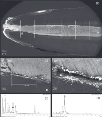 Figure 1- Scanning electron microscopy (SEM) micrographs using back scattered electrons (BSE) mode and corresponding  energy dispersive spectroscopy (EDS) spectrum of AgNO 3  leakage: (a) - The apical 5 mm of the root canal illing divided  into 1 mm-region