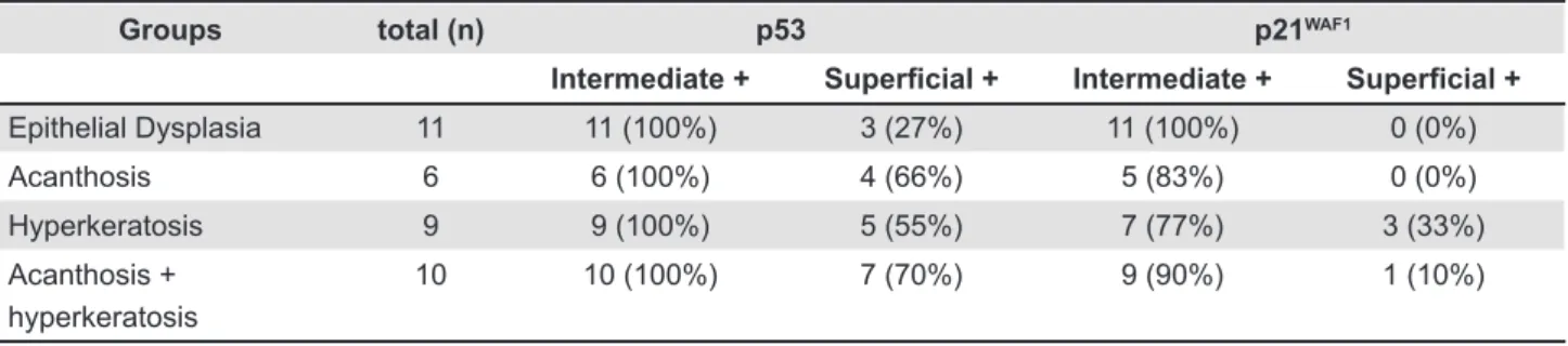 Table 4- Distribution of samples exhibiting positive p53 and p21 WAF1  staining in the intermediate and supericial layers
