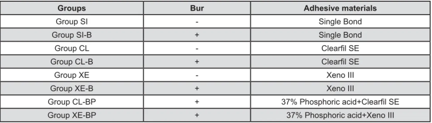 Figure 1- Summary of treated groups