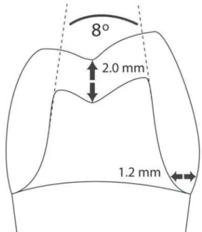 Figure 1- Schematic representation of the prepared tooth  and measurements