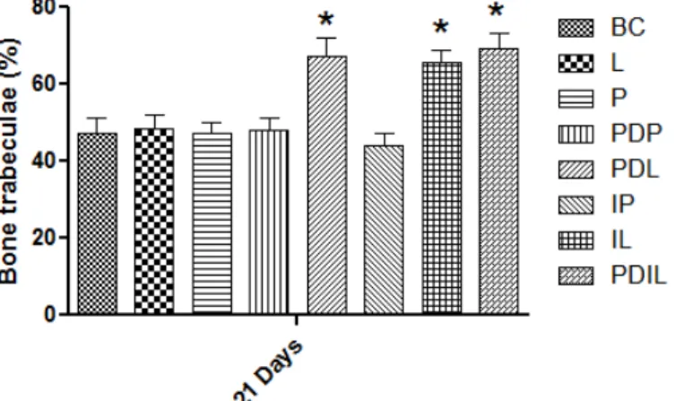 Gráfico III  – Porcentagem de trabéculas ósseas formadas aos 21 dias. 