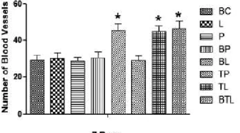 Gráfico IV  – Número de vasos sanguíneos formadas aos 7 dias. 