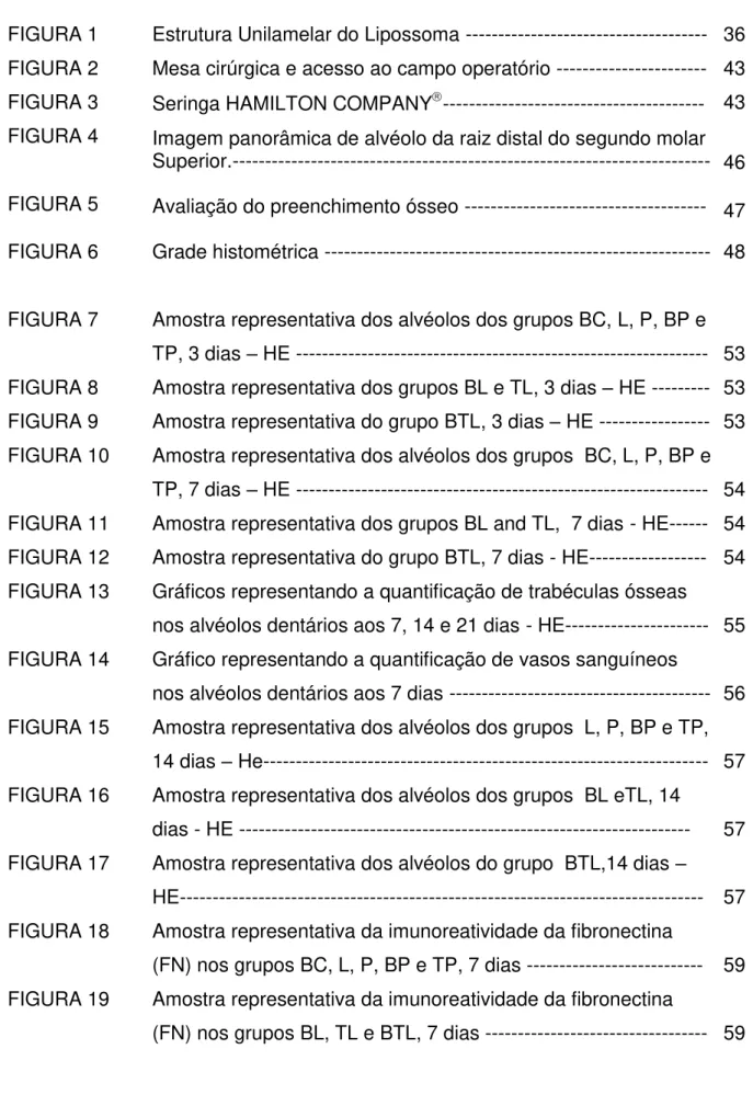 FIGURA 1   Estrutura Unilamelar do Lipossoma -------------------------------------  36  FIGURA 2   Mesa cirúrgica e acesso ao campo operatório -----------------------  43  FIGURA 3  