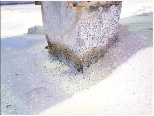 Figura 2.14: Ataque químico por ácido sulfúrico deteriorou pilar   em indústria de fertilizantes 