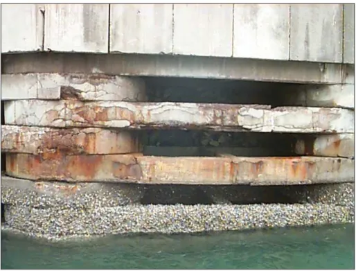Figura 2.22: Cracas na linha da água protegem as estruturas marinhas,  inibindo o processo de corrosão das armaduras 