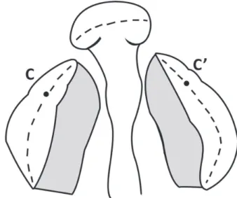 Table 1- Measurements found in the studied groups