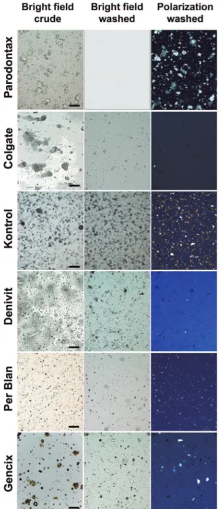 Figure 2- Light microscopic aspect of the six dentifrices  studied at the same magniication (100x; the bar stands  for 200 µm)