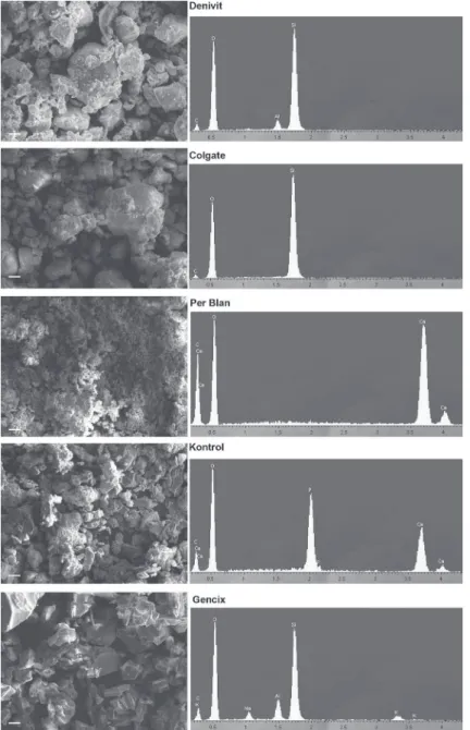 Figure 3- Scanning electron microscopy of the abrasive grains contained in the different types of dentifrices and obtained  after extensive washing and centrifugation