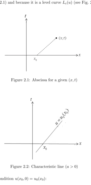 Figure 2.1: Abscissa for a given (x, t)