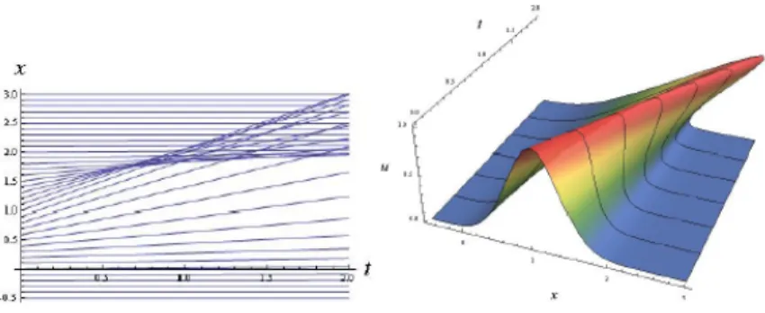 Figure 2.7: Break up of the solution (1.2) after time T when the wave breaks (from [14]).