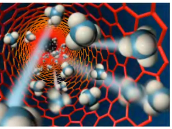 Figure 4.3: Computer illustration of methane molecules owing though a carbon nanotube [10, page 206]
