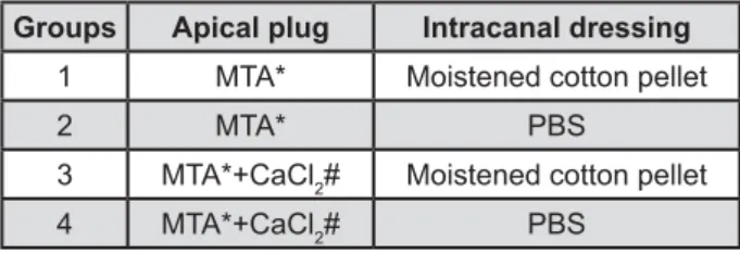 Figure 1- Groups, materials used to form the apical plug  and intracanal dressing
