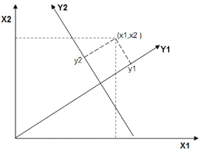 Figura  2  -  Ilustração  gráfica  das  componentes  principais,  onde  os  eixos  originais  são  rotacionados  e os  NC´s  nos eixos X1 e X2 são  redistribuídos sobre um  novo sistema de  eixos