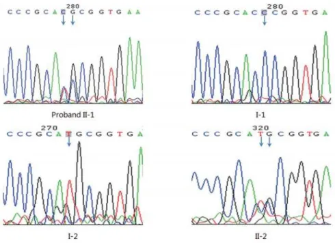 Figure 5- DNA-sequencing chromatograms of exon3 of  PAX9  in the female proband (II-1) and her family members A variant of  PAX9  gene {G718C (rs4904210) } was detected in the heterozygous state in the female proband (II-1)