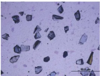 Figure 2- Micropol - irregular silicone carbide particles Figure 3- Opalustre - irregular silicone carbide particles