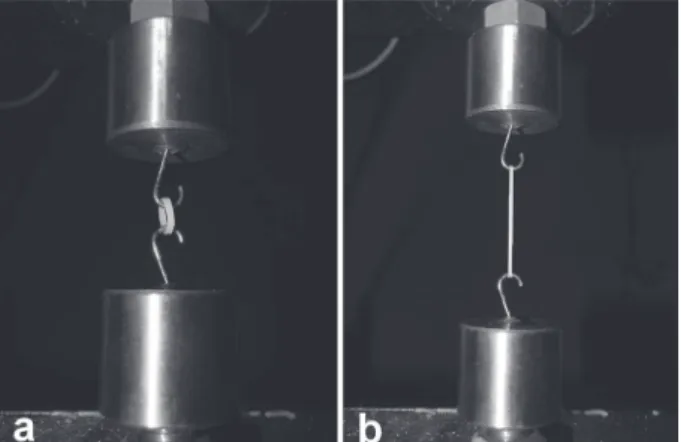 Figure 3 shows the homogenous distribution  of the sample at T0, where the groups presented 