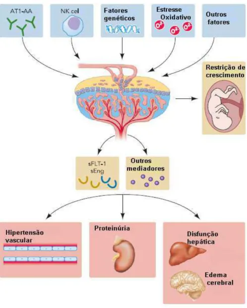 FIGURA 4  – Fisiologia da pré-eclâmpsia.