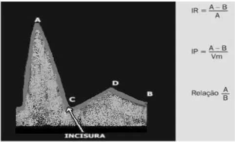 FIGURA 7 - Parâmetros do espectro da onda  uterina e índices doppler. A:  pico  sistólico,  B:  final  da  diastóle,  C:  início  da  sístole,  D:  pico  diastólico,  Vm:  velocidade média, IR: índice de resistência e IP: índice de pulsatilidade